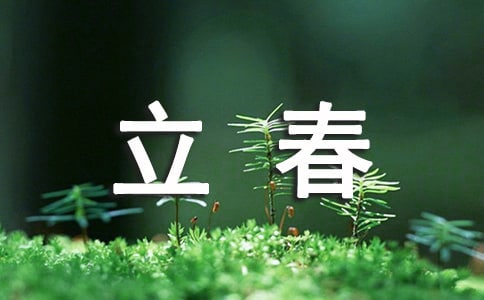 立春养生喝什么茶