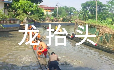 最新2月2龙抬头的祝福语汇集