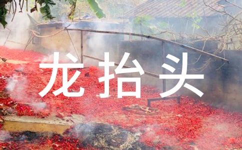 二月二龙抬头作文