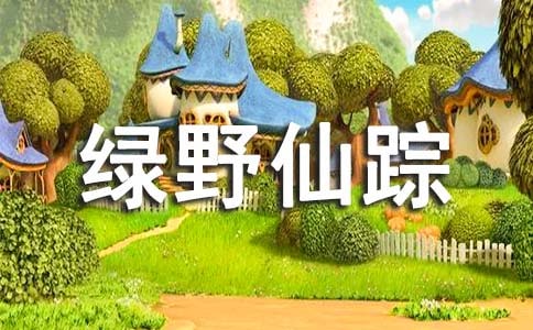 《绿野仙踪》读后感(集锦15篇)