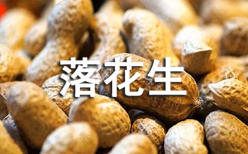 读《落花生》有感