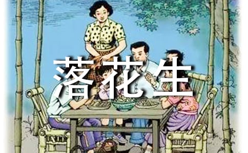 读完《落花生》后感通用