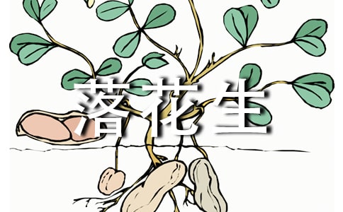 （推荐）落花生我想对你说6篇