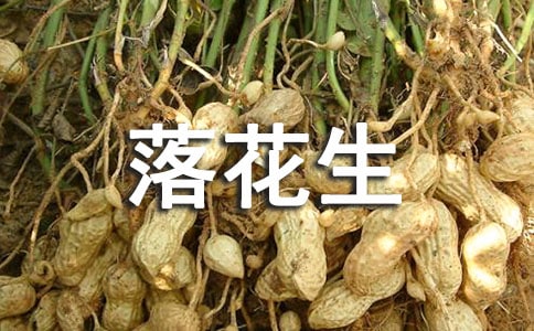 五年级课文落花生优秀读后感（精选20篇）