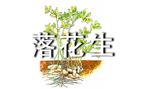 落花生作文(精选19篇)