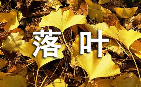 描写落叶的好句超优美集锦