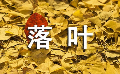 [精华]落叶也美丽作文