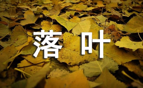 赞美落叶作文锦集八篇
