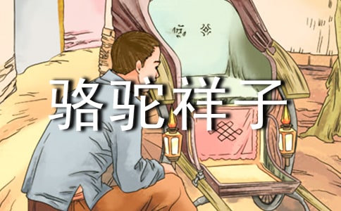 骆驼祥子读书笔记50字好词好句摘抄