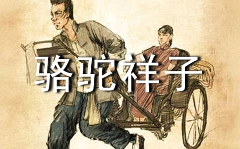 骆驼祥子读书笔记好句