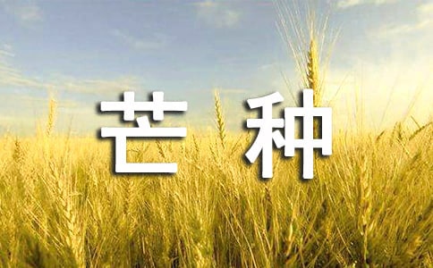 芒种节气的风俗习惯有哪些