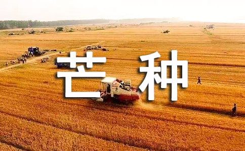 芒种的天气特点及习俗