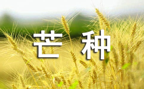 有关芒种男性该的养生知识