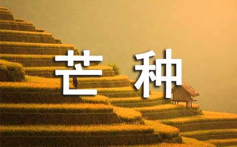 芒种的习俗有哪些