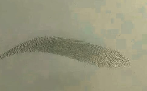 剪眉毛作文