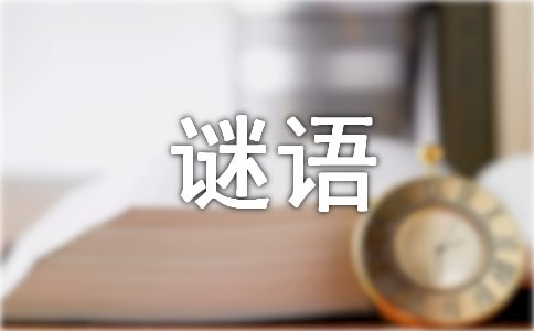 谜语式短信猜谜