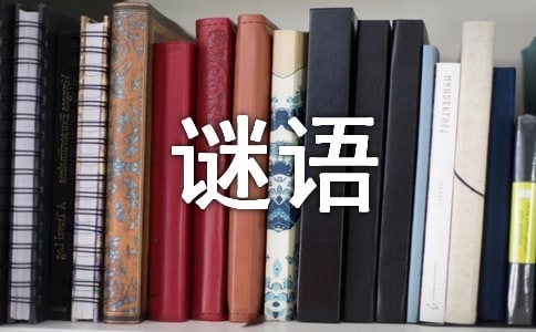 猜谜语作文汇编[15篇]