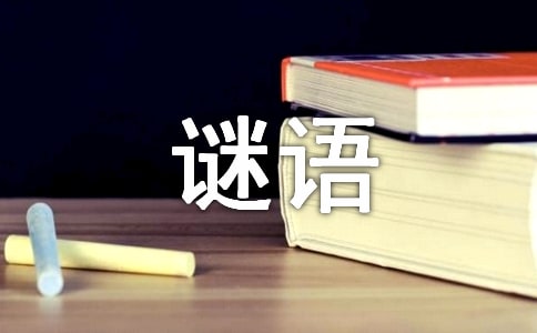 有趣的触觉谜语作文3篇