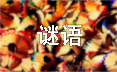 《红楼梦》谜语的赏析