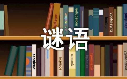 猜谜语作文