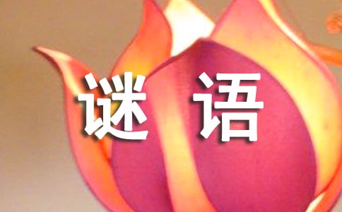 有趣的猜谜语_550字