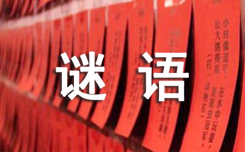 猜谜语作文