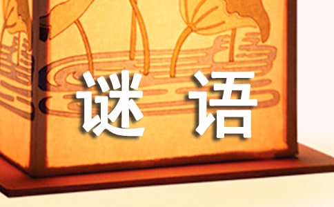【通用】猜谜语作文