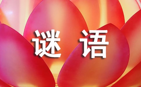 儿童谜语7一9岁