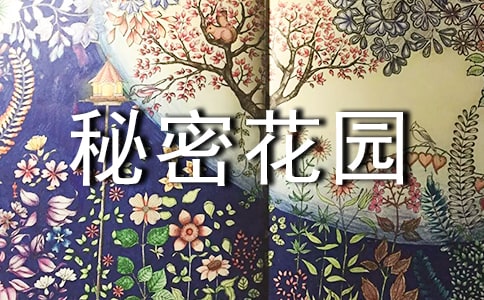 秘密花园读书随笔范文