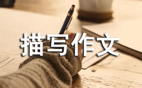 环境描写作文(合集15篇)