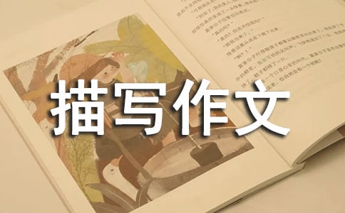 环境描写作文【精】