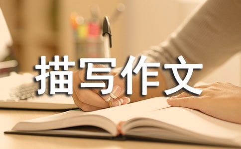 【精】环境描写作文