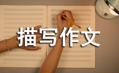 环境描写作文（精选24篇）
