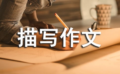 【推荐】环境描写作文