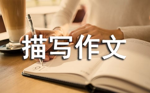 环境描写作文【热门】