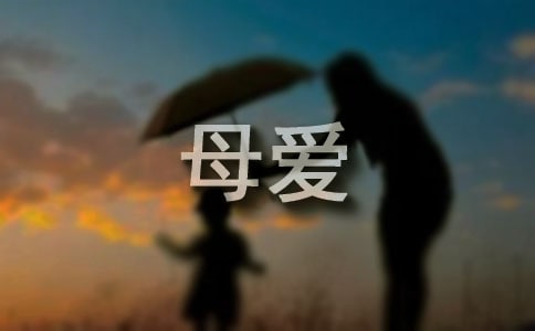 写母爱的作文开头和结尾写作素材