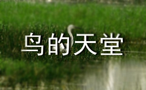 《鸟的天堂》教学实录