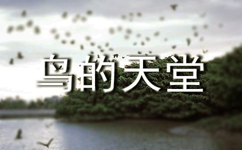 《鸟的天堂》教学实录【精品7篇】