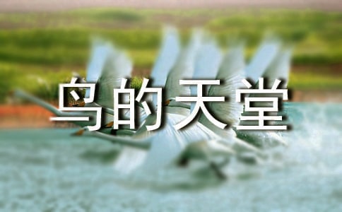 （精）《鸟的天堂》教学实录