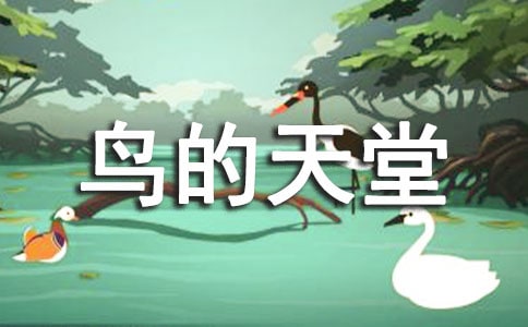 鸟的天堂导游词作文