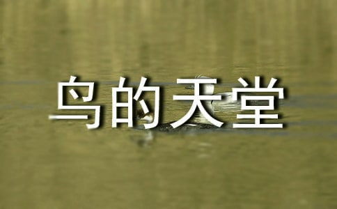 鸟的天堂反思