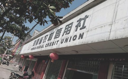 农村信用社工作人员的个人工作总结范文