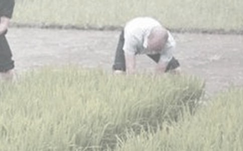 学干农活作文