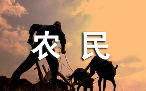河北省农民工工伤赔偿标准