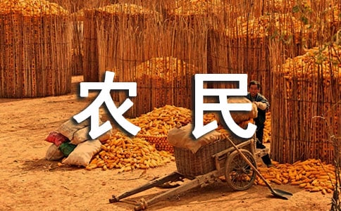 河北农民工工伤赔偿标准
