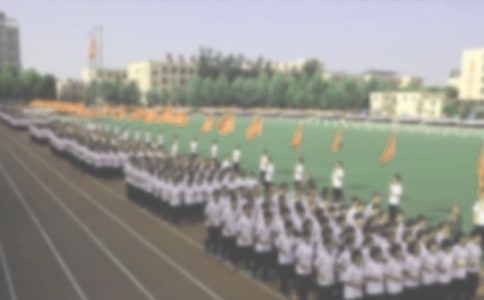 跑操心得体会作文（通用5篇）
