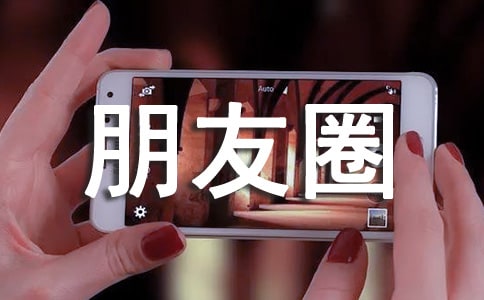 我的朋友圈作文