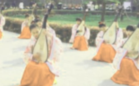 琵琶语作文