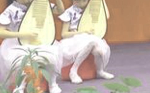 琵琶行教案