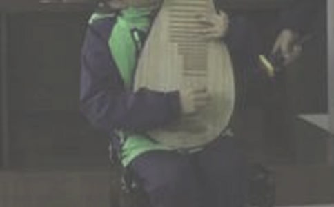 我学琵琶作文【热】